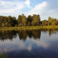 Поиск и ловля окуня жару.