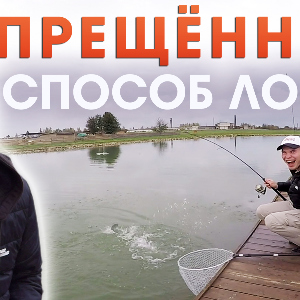 Запрещённый способ ловли форели и основные ошибки