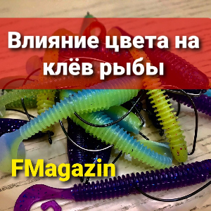 Влияние цвета приманки на клёв рыбы