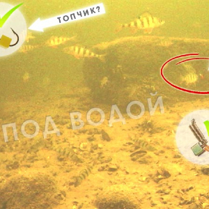Мормышки на окуня, тест под водой