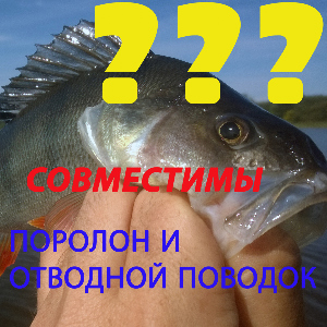 Поролон и отводной поводок: совместимы ли они?