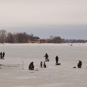 В зимний паводок с мормышкой.
