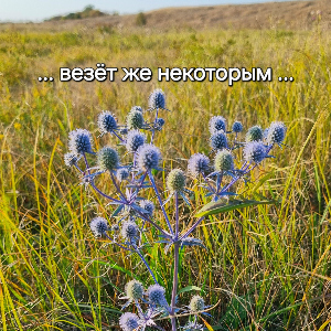 Рыболовные приметы, суеверия и поверья на своем опыте.