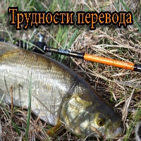 Трудности перевода