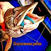 Поролоновая рыбка