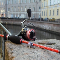 Петербургский стритфишинг