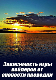 Зачем судаку «седло»? Зависимость игры воблеров от скорости проводки
