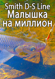 Обзор: Обзор блесны Smith D-S Line. Малышка на миллион