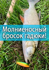 Обзор: Молниеносный бросок гадюки! Обзор River Old Satellite Viper Levin