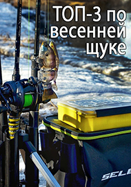 Статьи: Мой ТОП-3 по весенней щуке 2026