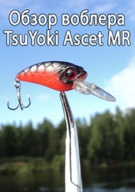 Обзор: Обзор воблер TsuYoki Ascet MR.
