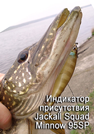 Фавориты. Индикатор присутствия. Обзор Jackall Squad Minnow 95SP.