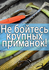 Статьи: Не бойся крупных приманок! Советы по ловле на крупный силикон.