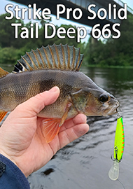 Обзор: Обзор тонущего дипика Strike Pro Solid Tail Deep 66 S