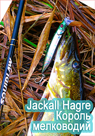 Обзор воблера Jackall Hagre 96F. Король мелководий