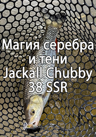 Обзор: Магия серебра и тени: Jackall Chubby 38 SSR в цвете HL Silver