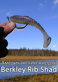 Berkley Powerbait Rib Shad. Американский жирдяй для русской щуки