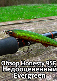 Обзор Honesty 95F. Недооцененный Evergreen