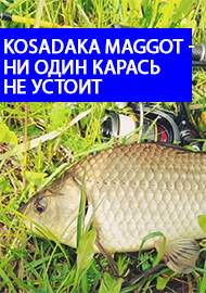 Обзор Kosadaka Maggot - и ни один карась не устоит