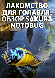 Лакомство для голавля. Обзор Sakura Notobug!
