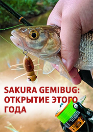 Обзор Sakura Gemibug: открытие этого года