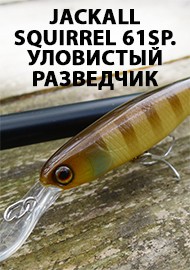 Обзор JACKALL SQUIRREL 61SP. Уловистый разведчик