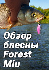 MIUниверсальная блесна. Обзор блесны Forest Miu.