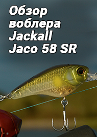 Обзор воблера Jackall Jaco 58 SR