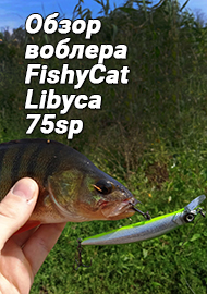 Обзор воблера FishyCat Libyca 75sp
