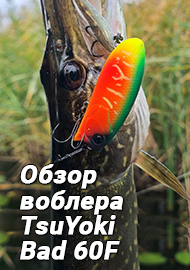 Обзор воблера TsuYoki Bad 60F - шальной полупоппер!!!