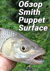 Фавориты.  Мраморный ходуль. Обзор Smith Puppet Surface.