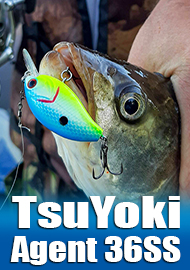 Обзор TsuYoki Agent 36SS - продолжение классики