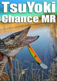 Мой прошлогодний фаворит - TsuYoki Chance MR