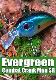 Обзор Evergreen Combat Crank Mini SR- универсальный дальнобойный крэнк