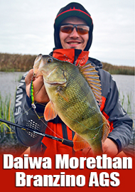 Лучший зимний спиннинг. Обзор Daiwa Morethan Branzino AGS
