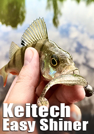 А нужен ли Keitech? Обзор Keitech Easy Shiner.