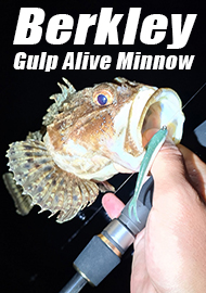 Обзор Berkley Gulp Alive Minnow 2.5 – ну очень вкусный слаг.