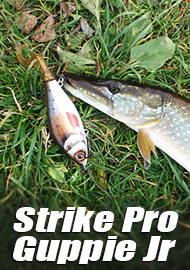 Хвостатый глайдер. Обзор Strike Pro Guppie Jr