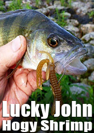 Lucky John Hogy Shrimp – тема раков раскрыта.