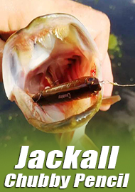 Обзор японского волкера Jackall Chubby Pencil