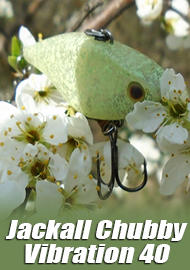 Фавориты. Белый мрамор. Обзор Jackall Chubby Vibration 40.