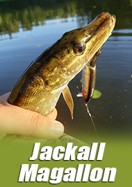 Большой брат придёт за тобой, щука! Обзор Jackall Magallon