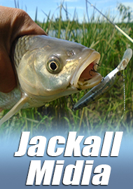 Фавориты. Революция. Обзор Jackall Midia 53F.