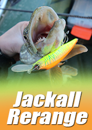А нырнём-ка мы поглубже, да разведаем что там. Обзор Jackall Rerange 130 MR.