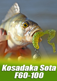 Самый эластичный твистер. Обзор Kosadaka Sota