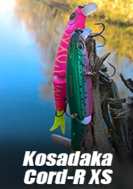 «КЛАССИКА ЖАНРА» ОБЗОР KOSADAKA CORD-R.