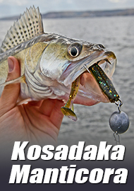 Kosadaka Manticora - гроза судака. Обзор
