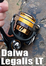 Обзор катушки Daiwa Legalis LT 2500