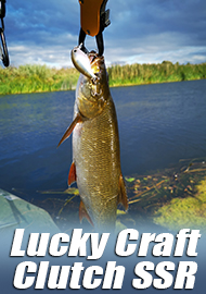Охотник на осеннего голавля и не только. Обзор Lucky Craft Clutch SSR