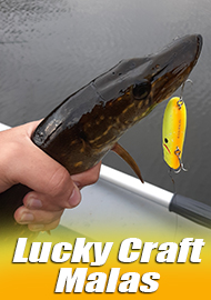 Всё гениальное просто. Обзор Lucky Craft Malas
